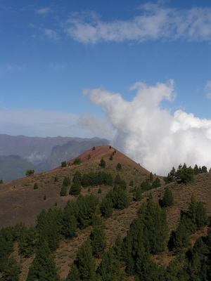 Auf den Vulkanen – Fastenwandernabenteuer La Palma