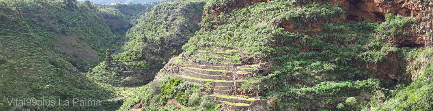 Fasten und Wandern auf der Insel La Palma